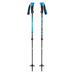 Razor Carbon Pro Ski Poles