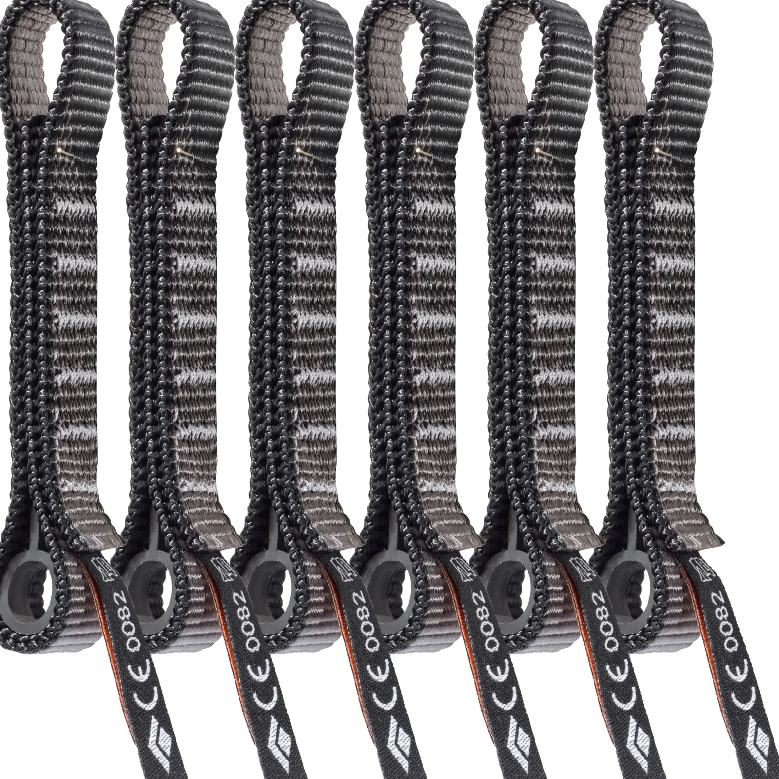 Standard Dogbone 12 cm 6 Pack