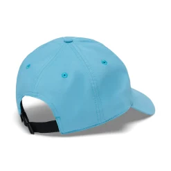 Synthetic Dad Hat