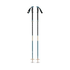Traverse Compactor Ski Poles