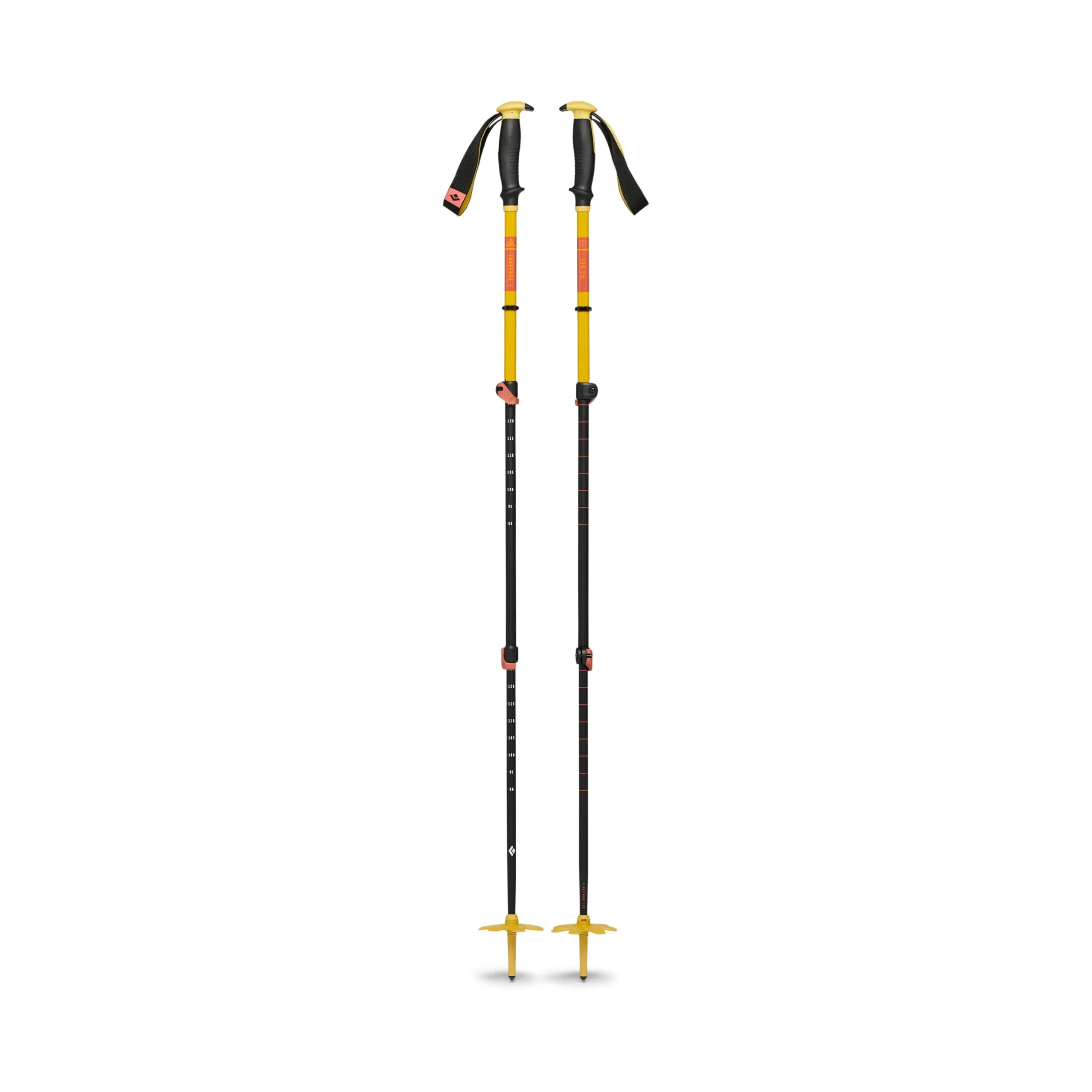 Traverse 3 Ski Poles
