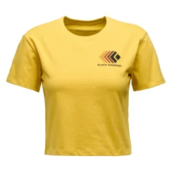 Women's Faded Crop Short Sleeve Tee